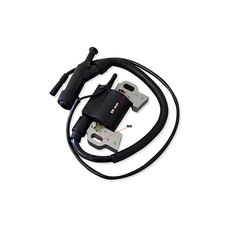Spare Part Petrol Gasoline Engine Ignition Coil for 9 hp