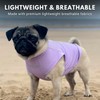 Spark Paws Dog T-Shirt, Quick Dry Soft Stretchy, Lightweight Breathable