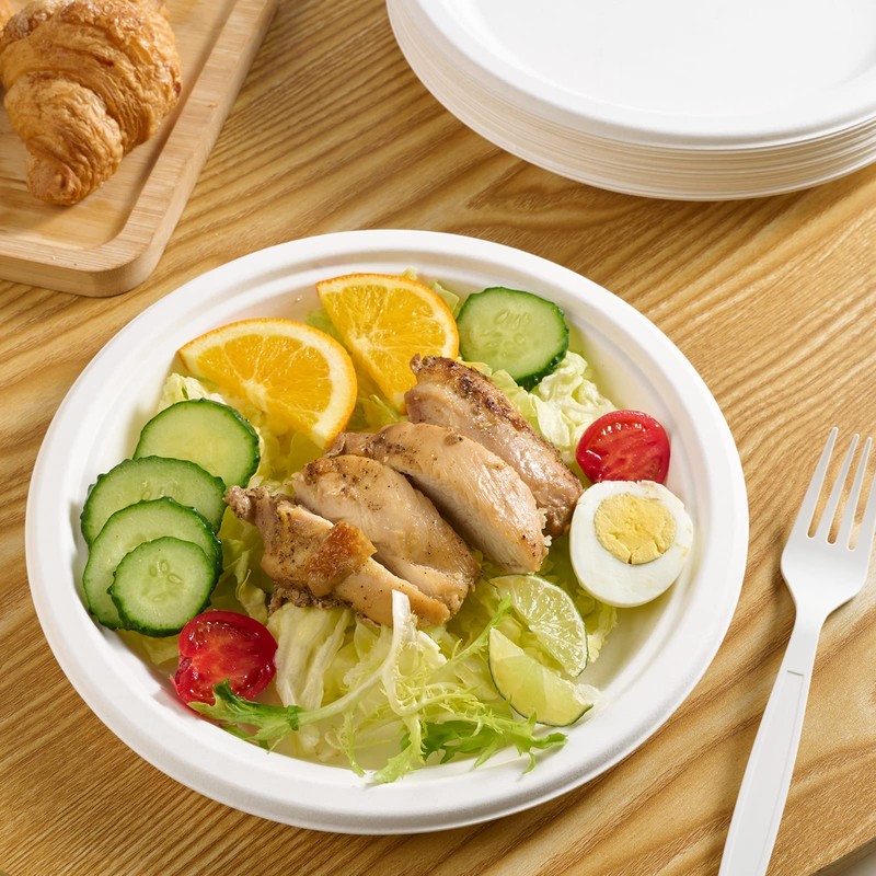 Vplus 150 Pack Paper Plates 9 inch 100% Compostable Plates