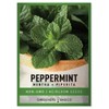 Peppermint Seeds for Planting is A Heirloom, Open-Pollinated, Non-GMO Herb