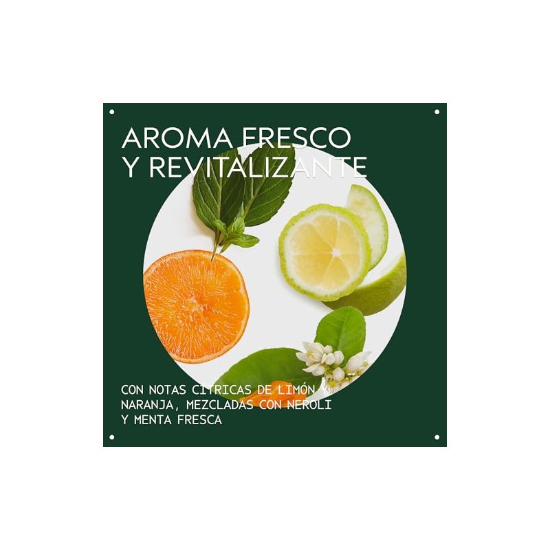 Aveda Scalp Solutions Replenish Acondicionador | Hidrata y Suaviza