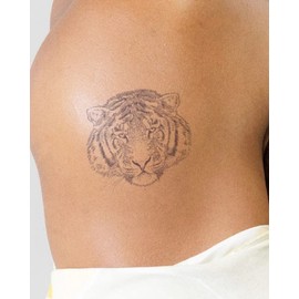 Inkbox Temporary Tattoos, Semi-Permanent Tattoo, One Premium Easy Long Lasting, Water-Resistant Temp Tattoo with For Now Ink - Lasts 1-2 Weeks, Tiger Tattoo, Shere Khan, 3 x 3 in