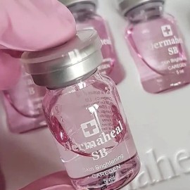 Mesoterapia Facial Dermaheal Hl Vial 5 Ml Hiperpigmentación Mixta Día/noche