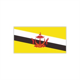 Womaha 30 Individual Temporary Brunei Flag Tattoos Fans Face Tattoo Stickers for Adults Kids Group Activity Props