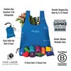 (Fairway) - ChicoBag Original Reusable Shopping Bag, in Fairway