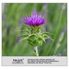FOLIUS LABS Clean Label Milk Thistle Extract with 80% Silymarin
