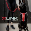 EZYDOG X-Link Harness | Dog Harness, Small, Medium, Large, K9