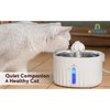 Automatic Pet Water Dispenser - Efficient and Hygienic Design for