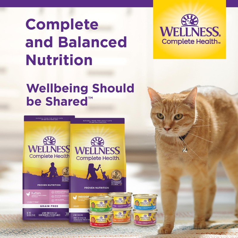 Wellness Complete Health Pate Adult Wet Cat Food, Natural, Protein-Rich,