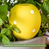 Yharnamite 4 Pcs Terracotta Self Watering Devices, Watering Globes, Professional