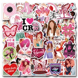 BDSHUNBF Pack of 100 Singers Chappell Stickers, Roan Cartoon Graffiti, Music Stickers, Vinyl Stickers, Waterproof Stickers for Girls, Adults, Teen, Laptop, Skateboard, Bike, Luggage