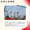 COLOME RED TREATMENT Karatari Red Bleach Hair Damage Repair 8.8