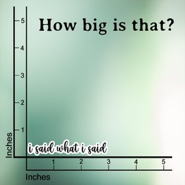 (3Pcs) I Said What I Said Sticker Funny Quote Sarcastic Decals Waterproof Vinyl Sticker For Books Laptops Phone Water Bottles Tumbler Cup Kindle 3 Inch