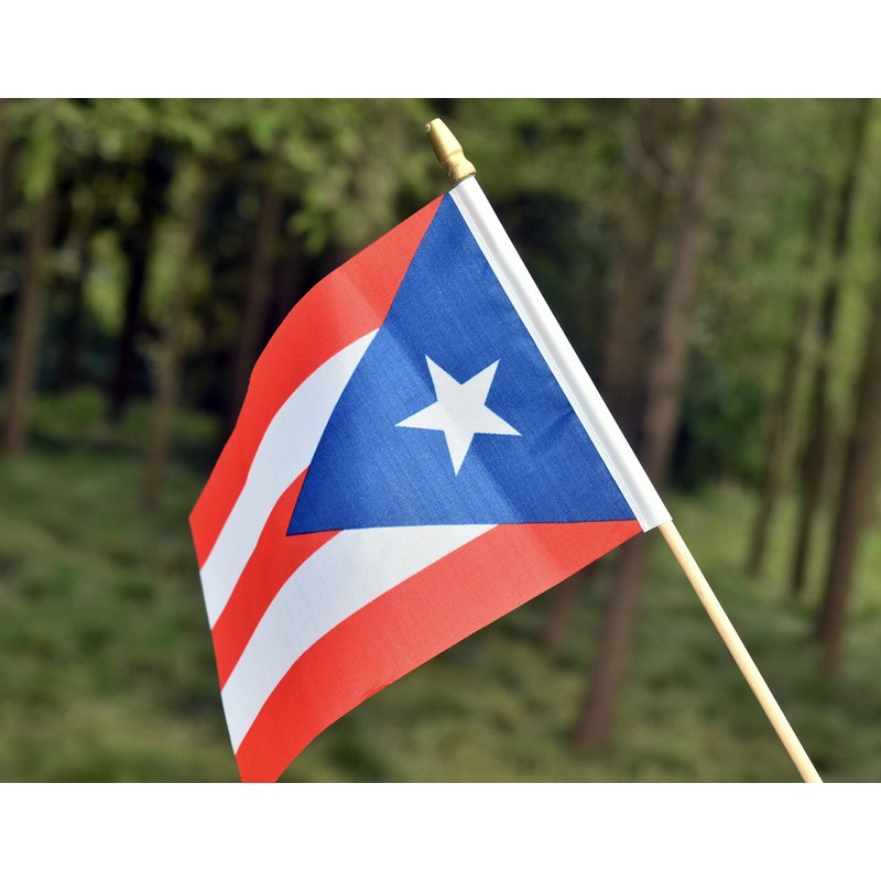 Ckexin 25Pack Small Puerto Rico Flag Handheld Mini Puerto Rican
