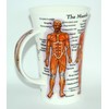 DUNOON Tasse „The Human Body“