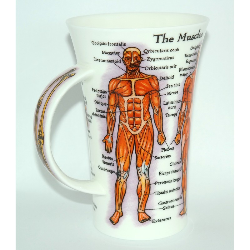 DUNOON Tasse „The Human Body“