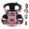 IVY&LANE No Pull Dog Harness with Leash Set, Reflective No