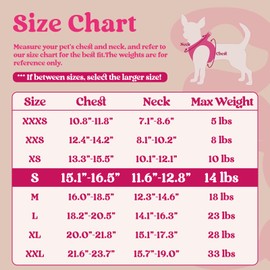 rabbitgoo Small Dog Harness, Step-in Soft Mesh Puppy Vest, Easy Walk with Safety Buckle, Breathable Reflective Pet Harness for Small Sized Dogs, Rose Red S