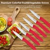 targzier Paring Knives with Straight Edge,Spear Point,Stainless Steel Paring Knife