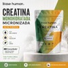 CREATINA MONOHIDRATADA MICRONIZADA | ALTA PUREZA | SIN SABOR |