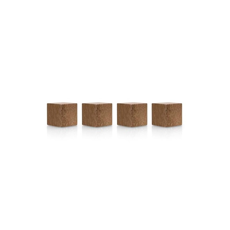 magnetoplan Design Magnets Wood Series Cube Premium Magnets Made of