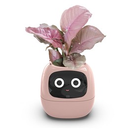 Smart Flowerpots,Smart Pet Planter,Ai Planter,Intelligent Flowerpots,Multiple Expressions,7 Smart Sensors, And Ai Chips Make Raising Plants Easy And Fun For Living Room,Desk,Plant-free (Pink)