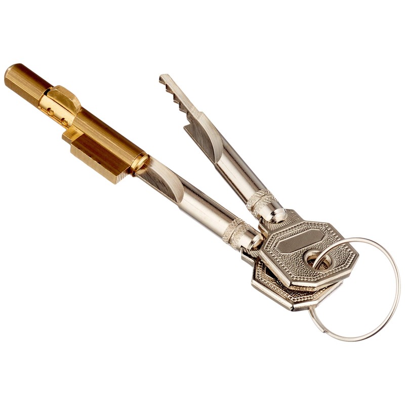 Burg Wächter E 6 Keys, Verschiedensperrend with 2 Keys