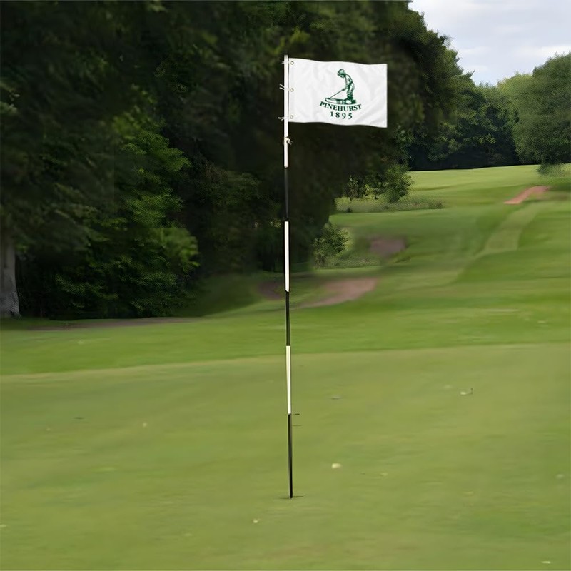 2BUT Pinehurst Golf Club Golf Pin PGA Flag Practic Putting
