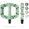 AARON - Dirt Plastic Pedals Industrial Ball Bearings - Non-Slip