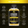 Effective Nutra Creatine Monohydrate Gummies - 1g Creatine per Gummy