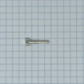 Bach Stradivarius Waterkey Parts - Silver Plate Screw