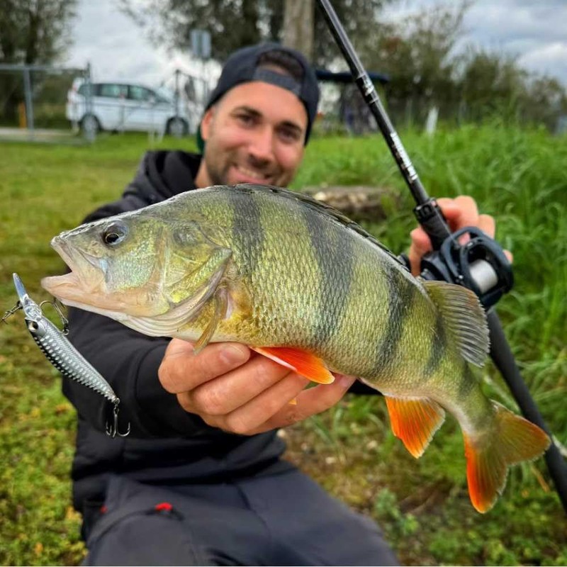 LMAB Flash Vibe 67, 80 & 98 mm - Twitchbait