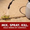 Spectracide Weed and Grass Killer 32 oz. Concentrate