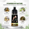 Herbishh Black Hair Dye Shampoo 200ml + Argan Oil 30ml