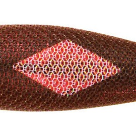 Yo – Zuri (yo-duri) Lure egi aori- Q Ace 2.5 # # # # rbwd