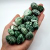Tree Agate Natural Healing Crystal Gemstone tumbled & hand polished