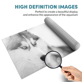 Fish Tank Background 90x45cm BW - Siberian Husky Dog Eyes | Poster Backdrop Decoration Paper #38644