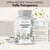 Cholesterol Complex with Plant Sterols & Choline - 180 Vegan