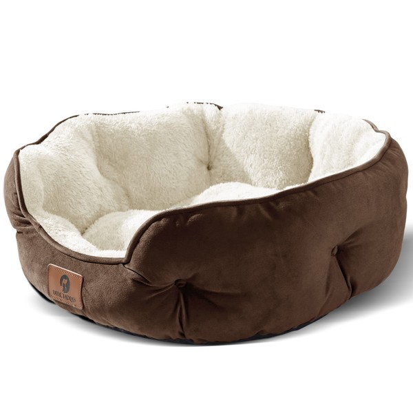 Asvin Medium Dog Bed for Medium Dogs, Cat Beds for