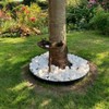 Core Edge Tree Ring - Flexible Decorative Steel Garden Lawn