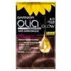 Garnier Olia Glow Permanent Hair Colour, Ammonia Free, Natural Flower