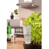 Scheurich Copa XL Plastic Water Reservoir, Colour: Copa XL, Transparent/Clear,