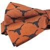 Eagles Wings Michigan Ties - Corbata deportiva para hombre, Microfibra