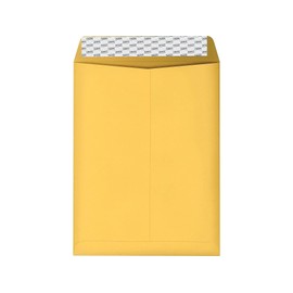 Staples 381969 Easyclose Catalog Envelopes 10-Inch L X 13-Inch H Brown 100/Bx (381969/19023)