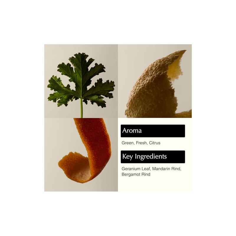 Aesop - Geranium Leaf Body Cleanser - 500ml/17.99oz by Aesop