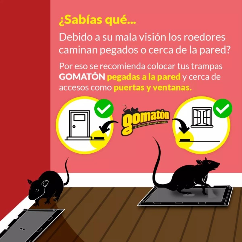 Gomaton Trampa De Pegamento Para Ratones Rodores Y Ratas Gomaton