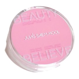 Blush Puff 2p Giveaway Jeong Saem Mool Artist Cushion Blush Single Item Promotion / 블러쉬퍼프2p증정 정샘물 아티스트 쿠션 블러쉬 단품기획