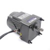 Gear Reducer Motor with Speed Controller AC 110V 25W 10K