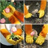 Wuiil Acdyion - Guantes de jardinería para mujeres/hombres, rosa pruning