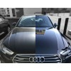 Cera Ceramica Tonyin Graphene Coating Wax 200g